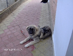hpim0542.jpg