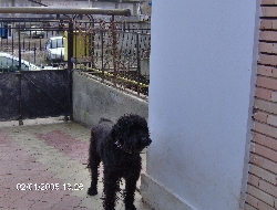 hpim0546.jpg