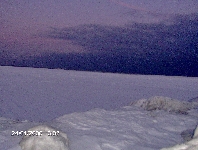 hpim0587.jpg