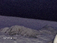 hpim0591.jpg